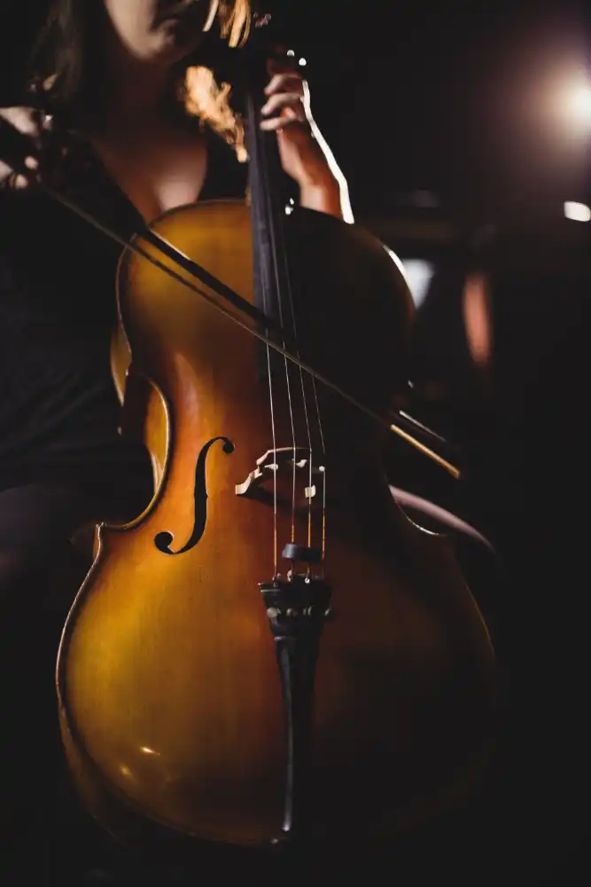 instrumentos